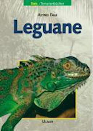 Cover for Astrid Falk · Leguane (Hardcover bog) (2001)