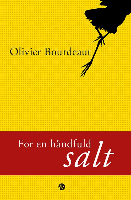 For en håndfuld salt - Olivier Bourdeaut - Bøger - Jensen & Dalgaard - 9788771513837 - 18. juni 2019