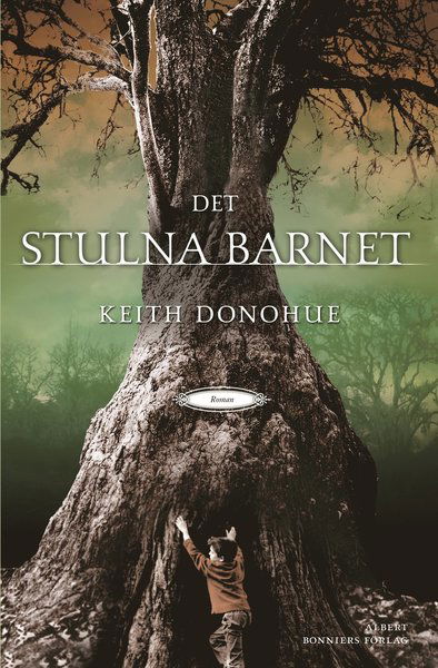 Det stulna barnet - Keith Donohue - Książki - Albert Bonniers Förlag - 9789100109837 - 14 października 2008