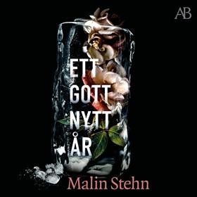 Cover for Malin Stehn · Ett gott nytt år (Hörbok (MP3)) (2021)