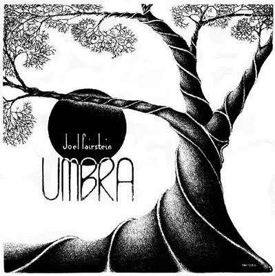 Cover for Joel Fairstein · Umbra (LP) (2022)