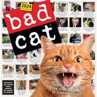Workman Calendars · Bad Cat Wall Calendar 2024: Celebrating the Misfits