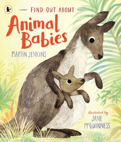 Cover for Martin Jenkins · Find Out About ... Animal Babies - Find Out About ... (Paperback Bog) (2022)
