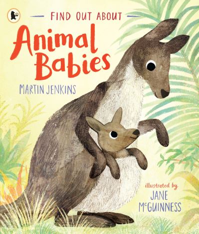 Find Out About ... Animal Babies - Find Out About ... - Martin Jenkins - Boeken - Walker Books Ltd - 9781529503838 - 3 maart 2022