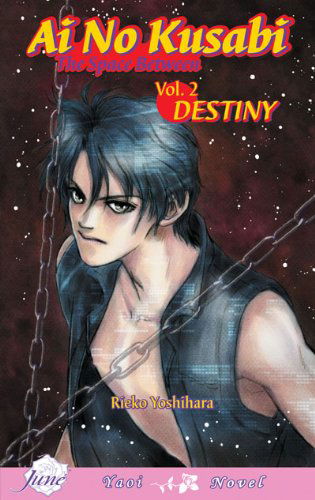 Cover for Matt Fraction · Ai No Kusabi The Space Between Volume 2: Destiny (Yaoi Novel) - AI NO KUSABI SPACE BETWEEN NOVEL (Paperback Book) (2008)