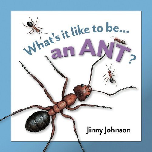 Cover for Jinny Johnson · What's It Like to Be an Ant? (Hardcover bog) (2011)
