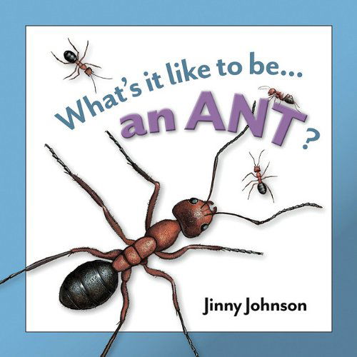 Cover for Jinny Johnson · What's It Like to Be an Ant? (Innbunden bok) (2011)