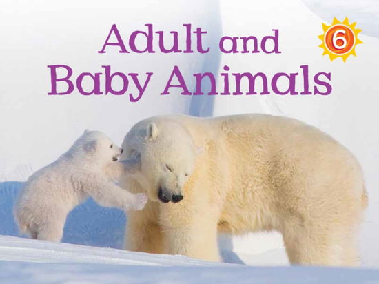 Cover for Kelly Ward-Wills · Adult and Baby Animals: English Edition - Nunavummi Reading Series (Paperback Book) [English edition] (2016)