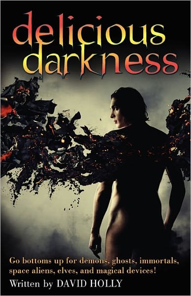 Cover for David Holly · Delicious Darkness (Paperback Book) (2011)