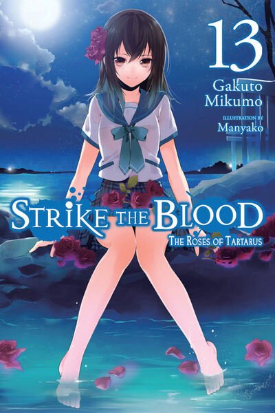 Cover for Gakuto Mikumo · Strike the Blood, Vol. 13 (light novel) (Taschenbuch) (2019)
