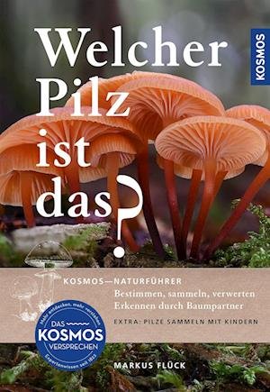 Markus Flück · Welcher Pilz ist das? (Book) (2024)