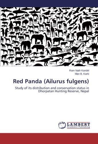 Cover for Man B. Karki · Red Panda (Ailurus Fulgens): Study of Its Distribution and Conservation Status in Dhorpatan Hunting Reserve, Nepal (Taschenbuch) (2013)