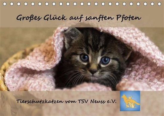 Tierschutzkatzen vom TSV-Neuss - Groß - B - Bøker -  - 9783672102838 - 
