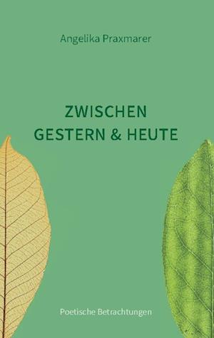 Cover for Angelika Praxmarer · Zwischen Gestern und Heute (Book) (2024)