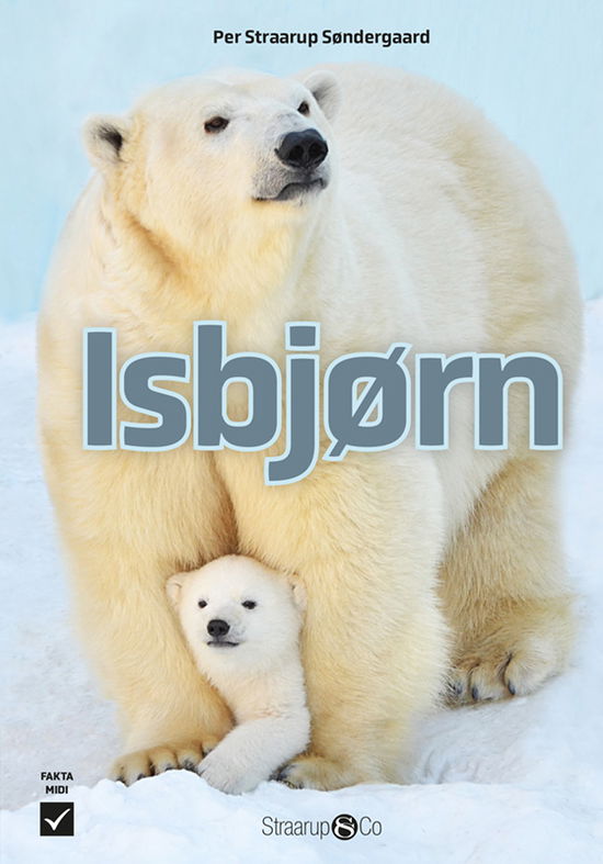 Cover for Per Straarup Søndergaard · Midi: Isbjørn (Inbunden Bok) [1:a utgåva] (2024)