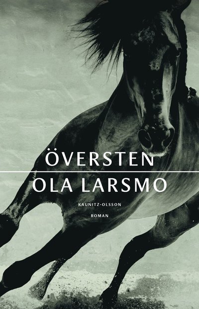 Cover for Ola Larsmo · Översten (Paperback Book) (2021)
