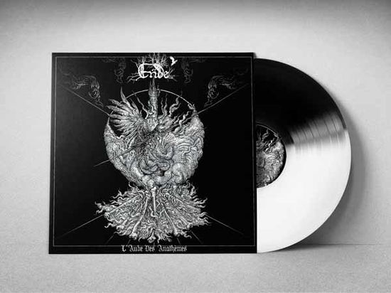 L'aube Des Anathèmes (Half Opaque White / Half Black Vinyl) - Ende - Musik - IMMORTAL FROST PRODUCTIONS - 0786727799839 - 27 september 2024