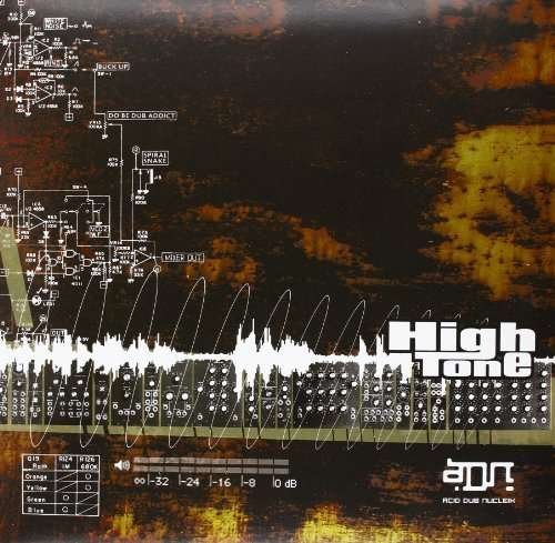 Cover for High Tone · A D N (LP) (2013)
