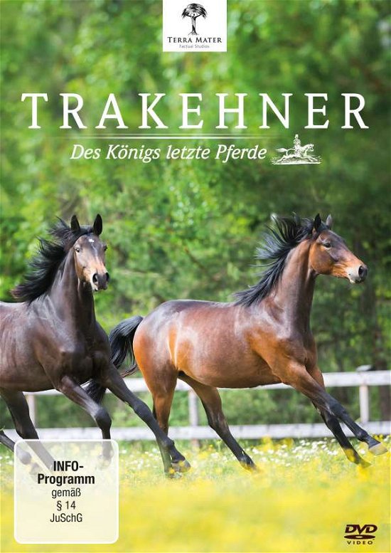 Cover for Trakehner-des Königs Letzte Pferde (DVD) (2017)