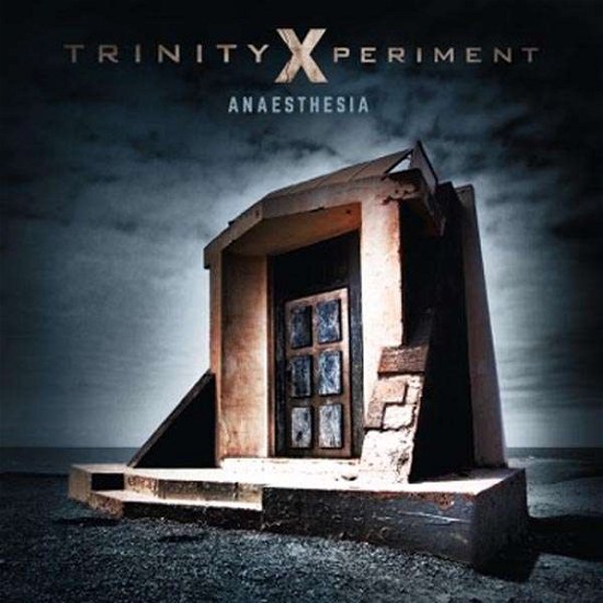 Cover for Trinity Xperiment · Anaesthesia (LP) (2018)