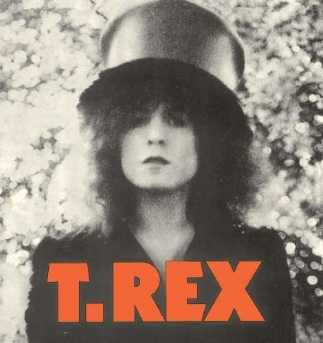 Cover for T.rex · Slider (CD) [Japan Import edition] (2009)
