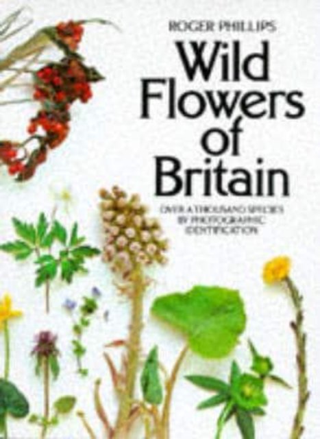 Cover for Roger Phillips · Wild Flowers of Britain (Pocketbok) (1977)