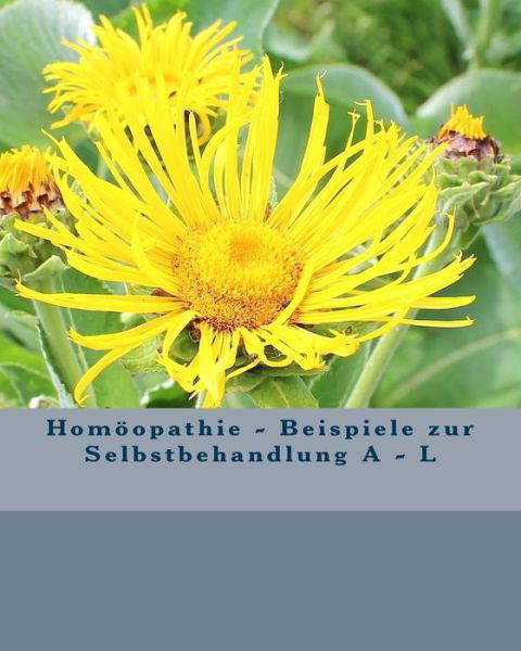 Homoopathie: Beispiele Zur Selbstanwendung a - L - Peter Baumann - Libros - Createspace - 9781503063839 - 1 de noviembre de 2014