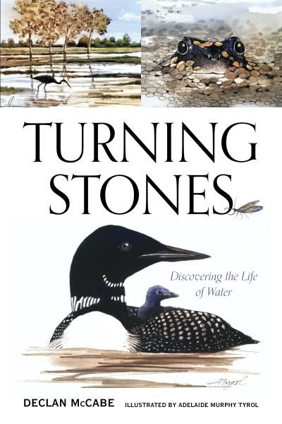 Declan McCabe · Turning Stones: Discovering the Life of Water (Taschenbuch) (2024)