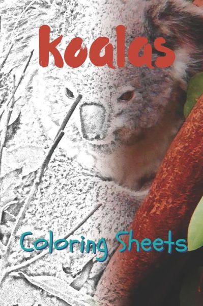 Cover for Julian Smith · Koala Coloring Sheets (Pocketbok) (2019)