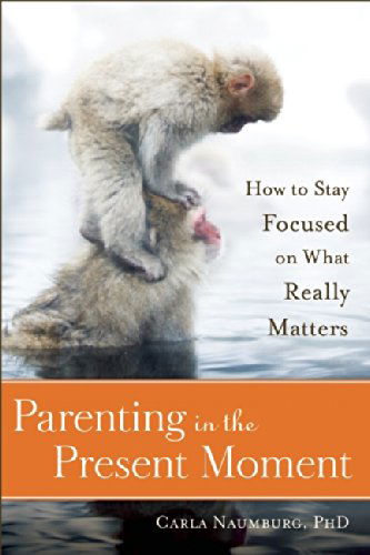 Cover for Carla Naumburg · Parenting in the Present Moment: How to Stay Focused on What Really Matters (Paperback Book) (2014)