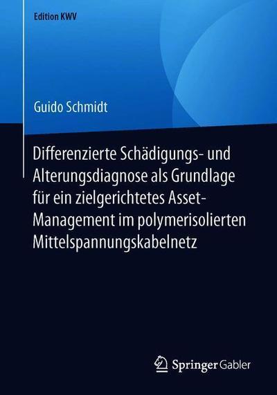 Cover for Guido Schmidt · Differenzierte Schaedigungs und Alterungsdiagnose als Grundlage fuer ein zielge (Book) [1. Aufl. 2009, Nachdruck 2019 edition] (2019)