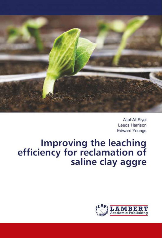Cover for Siyal · Improving the leaching efficiency (Bok) (2018)