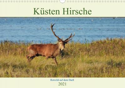 Cover for Schaack · Küsten Hirsche - Rotwild auf de (Buch)