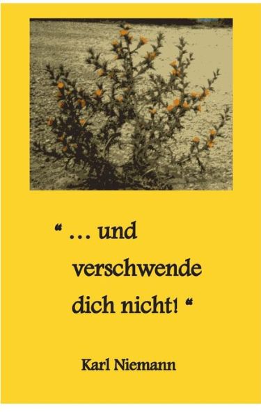 Cover for Niemann · &quot;... und verschwende dich nicht (Book) (2017)