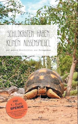 Cover for Hammer · Schildkröten haben keinen Außens (Bog)