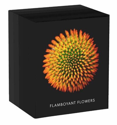 Cover for Nicolas Meriel · Flamboyant Flowers Perpetual Calendar (Kalender) (2020)