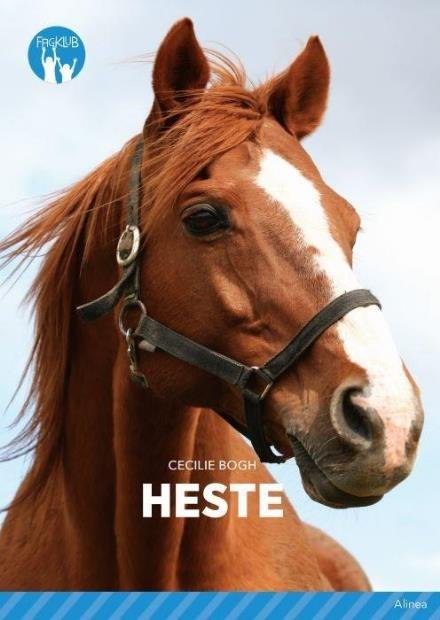 Cover for Cecilie Bogh · Fagklub: Heste, Blå Fagklub (Gebundesens Buch) [1. Ausgabe] (2017)