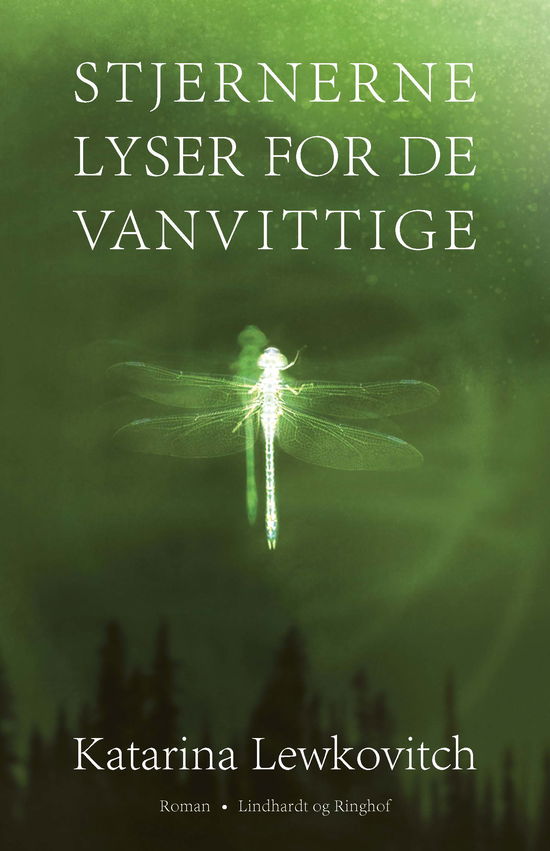 Cover for Katarina Lewkovitch · Stjernerne lyser for de vanvittige (Sewn Spine Book) [1st edition] (2025)