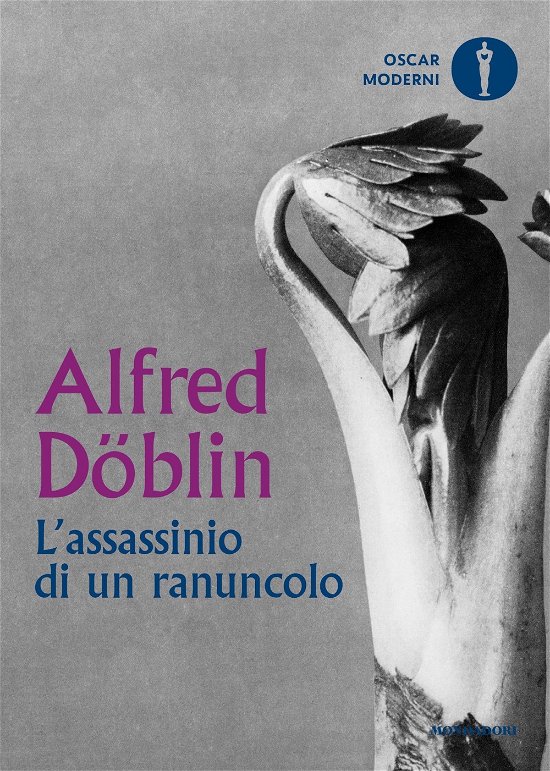 Cover for Alfred Döblin · L' Assassinio Di Un Ranuncolo (Bok)