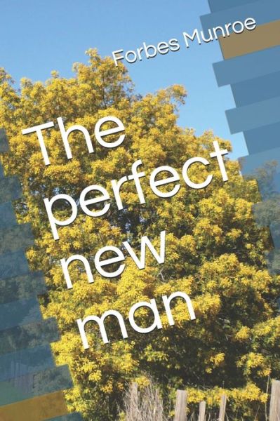 Cover for Forbes Gavin Munroe · The perfect new man (Paperback Book) (2020)