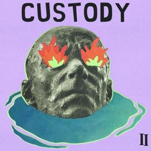 Cover for Custody · II (LP)