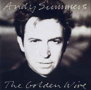 The Golden Wire - Summers Andy - Music - BMG RECORDS - 4007192597840 - April 6, 1989