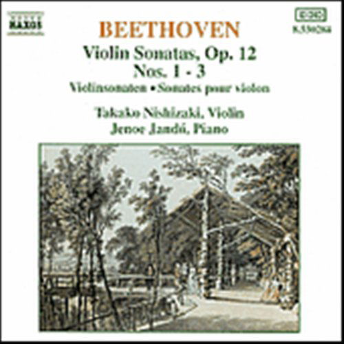 BEETHOVEN: Violin Sonatas 1-3 - Nishizaki,takako / Jando,jenö - Musik - Naxos - 4891030502840 - 7. maj 1993