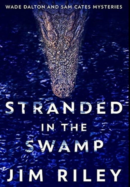 Cover for Jim Riley · Stranded in the Swamp (Hardcover Book) (2021)