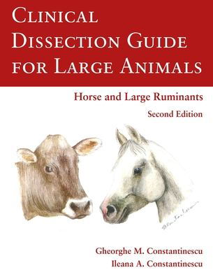 Cover for Gheorghe Constantinescu · Clinical Dissection Guide for Large Animals (Taschenbuch) (2011)