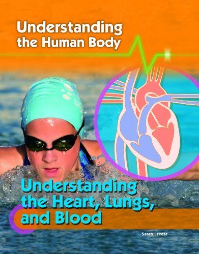 Cover for Sarah Levete · Understanding the Heart, Lungs, and Blood (Understanding the Human Body) (Gebundenes Buch) (2010)