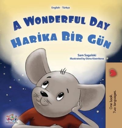 Cover for Sam Sagolski · Wonderful Day (English Turkish Bilingual Children's Book) (Book) (2023)