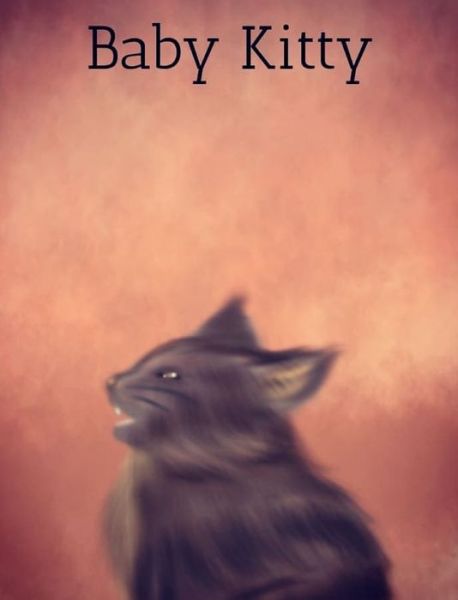 Cover for Halrai · Baby Kitty (Hardcover Book) (2020)