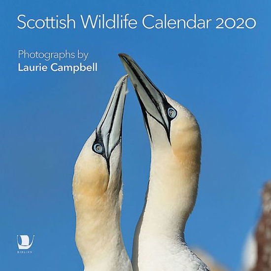 Cover for Laurie Campbell · Scottish Wildlife Calendar 2020 (Calendar) (2019)