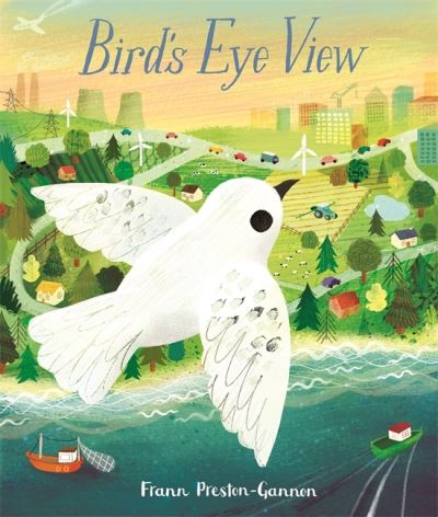 Bird's Eye View - Frann Preston-Gannon - Frann Preston-Gannon - Books - Templar Books - 9781787416840 - August 5, 2021